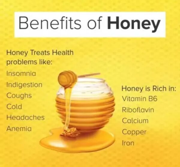 Patanjali Honey Pack of 2 (250g)
