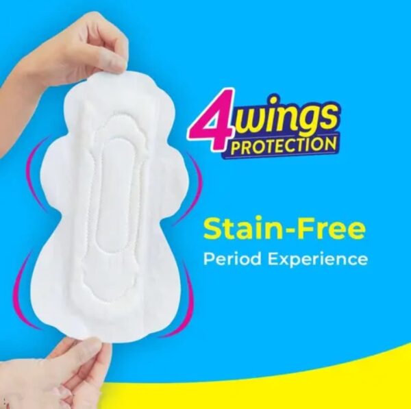 Paree Sanitary Pads For Women | XL-40 Pads